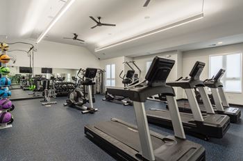 Functional Fitness Training Center at Uptown Square Apartments, Troy, MI, 48083
